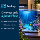 Coral Reef Background - image 4