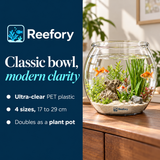 Clear Round Fish Bowl - image 4