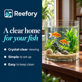 Cylinder Glass Aquarium - image 4