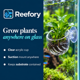 Acrylic Plant Cup - image 4