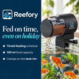Automatic Fish Feeder - image 4
