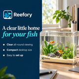 Clear Desktop Fish Tank - image 4