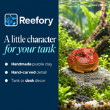 Clay Horned Frog - image 4