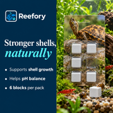 Calcium Mineral Blocks - image 4