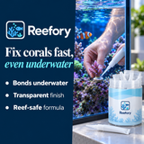 Instant Coral Glue - image 4