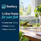 Narrow Glass Aquarium - image 4