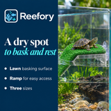 Turtle Basking Platform - image 4