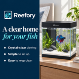 Smart Betta Tank - image 4