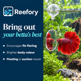 Betta Exercise Mirror - image 4