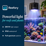 200 W Pendant Aquarium Light - image 4