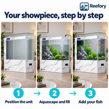 Curved Floor Aquarium - image 5