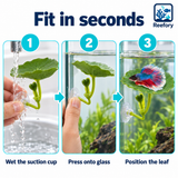 Betta Resting Leaf - image 5