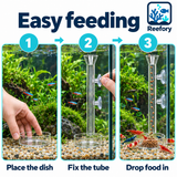Glass Shrimp Feeder Set - image 5
