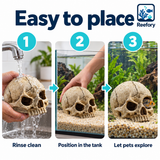 Resin Skull Hideout - image 5
