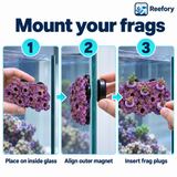 Magnetic Reef Frag Rock - image 5