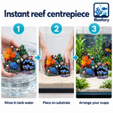 Coral Reef Island - image 5