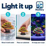 Glow Spiral Coral - image 5