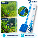 Algae Sponge Brush - image 5