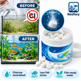 Fast-Dissolving Dechlorinator - image 5