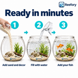 Clear Round Fish Bowl - image 5
