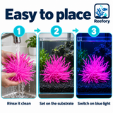 Silicone Sea Anemone - image 5