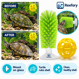 Turtle Shell Brush - image 5