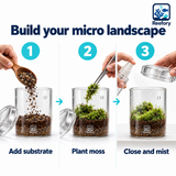Glass Moss Terrarium - image 5
