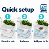 Clear Turtle Tank - image 5