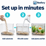 Clear Desktop Fish Tank - image 5