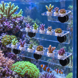Marine Sources Frag Rack - image 6
