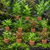 Ceramic Plant Rings - image 6