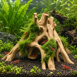 Root Cave Hideout - image 6
