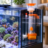 Red Starfish Mini Skimmer - image 6