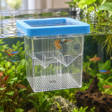 Floating Breeding Box - image 6