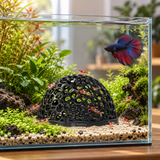 Porous Shrimp Cave - image 6