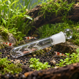 Planaria & Leech Trap - image 6