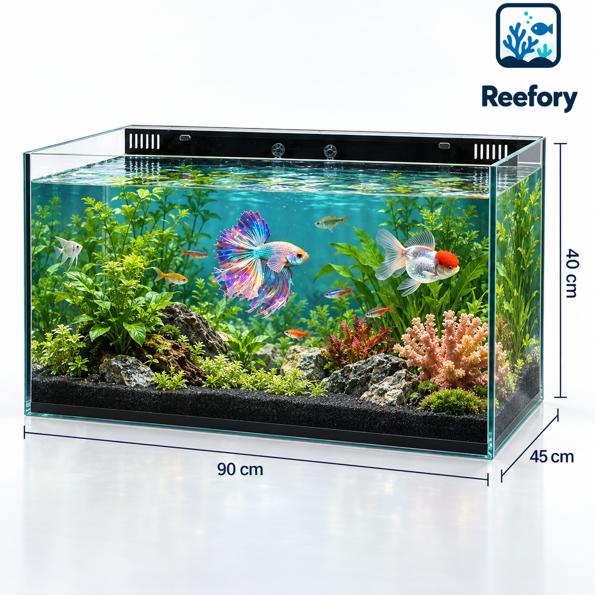 Rimless Glass Aquarium - image 1