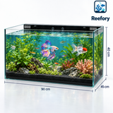 Rimless Glass Aquarium - image 1