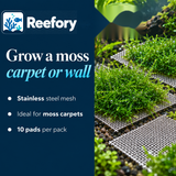 Stainless Steel Moss Mesh - image 4