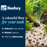 Rainflower Stone Gravel - image 4