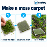 Stainless Steel Moss Mesh - image 5