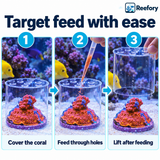 Coral Feeding Shield - image 5